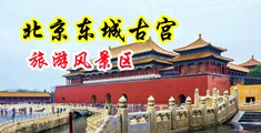 黄片美乳中国北京-东城古宫旅游风景区